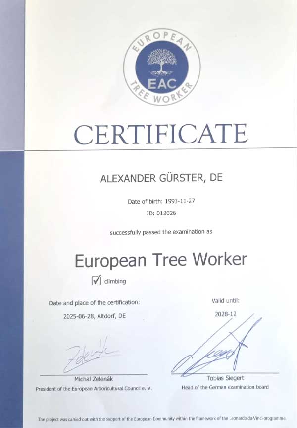 Zertifikat European Tree Worker - Climbing